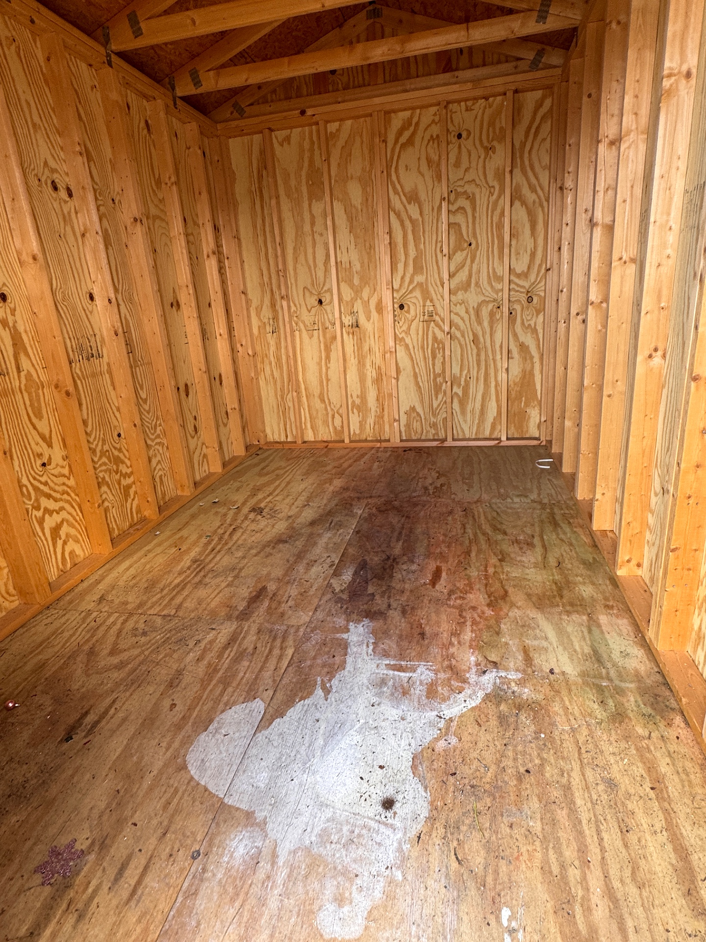 8x12 Utility Shed at Graceland of Cumming