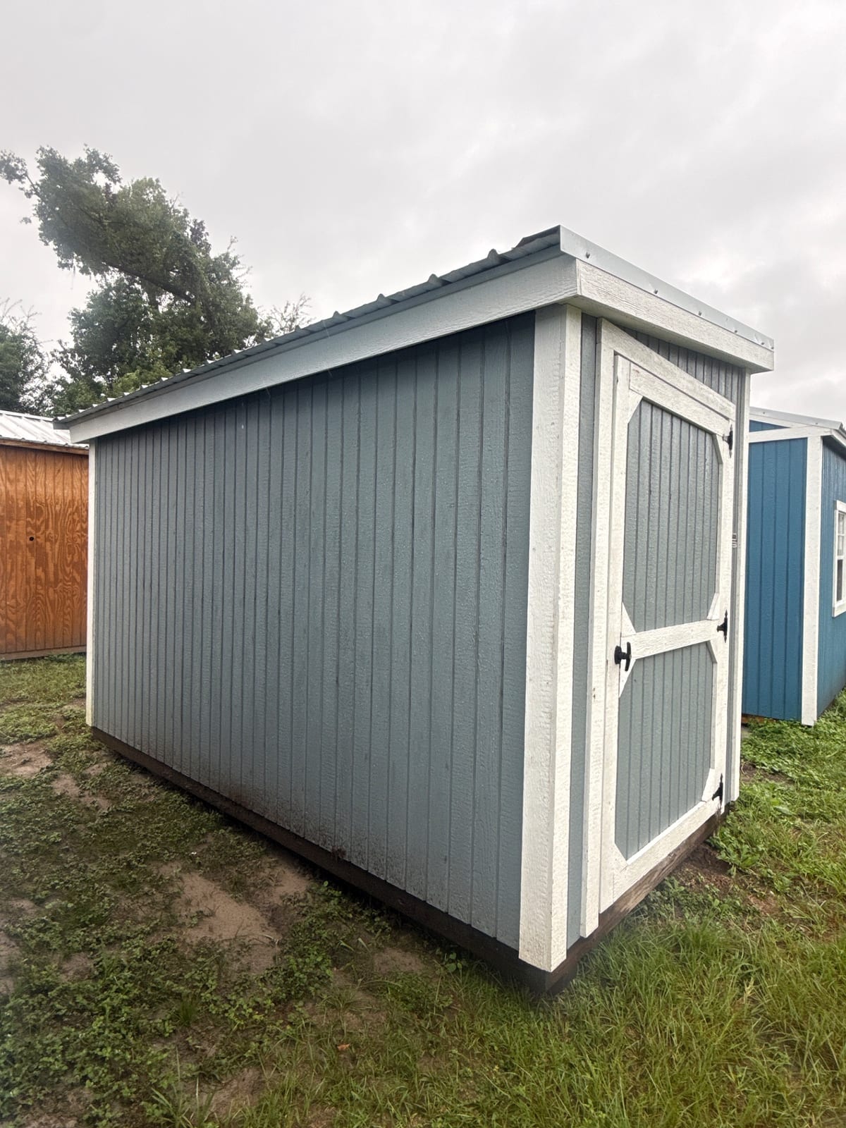 6x12 Mini Shed at Willis Buildings