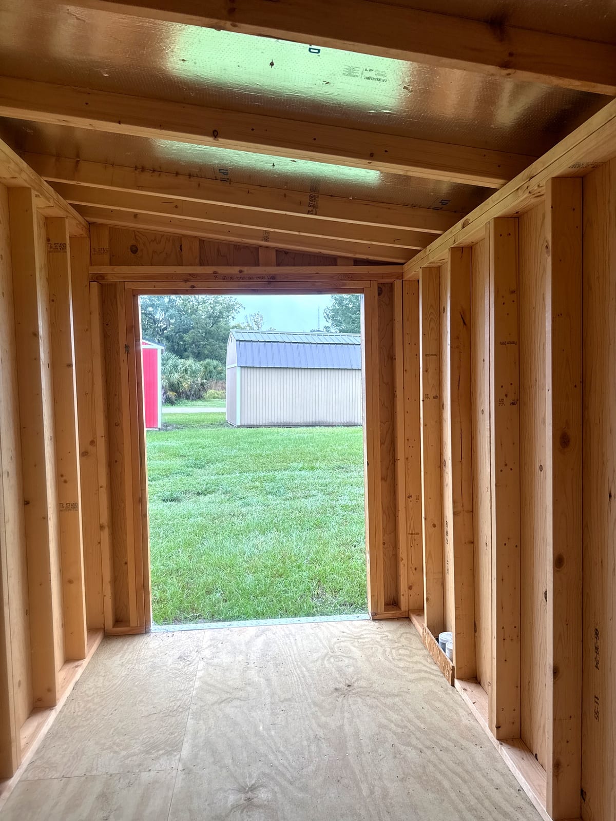 6x12 Mini Shed at Willis Buildings