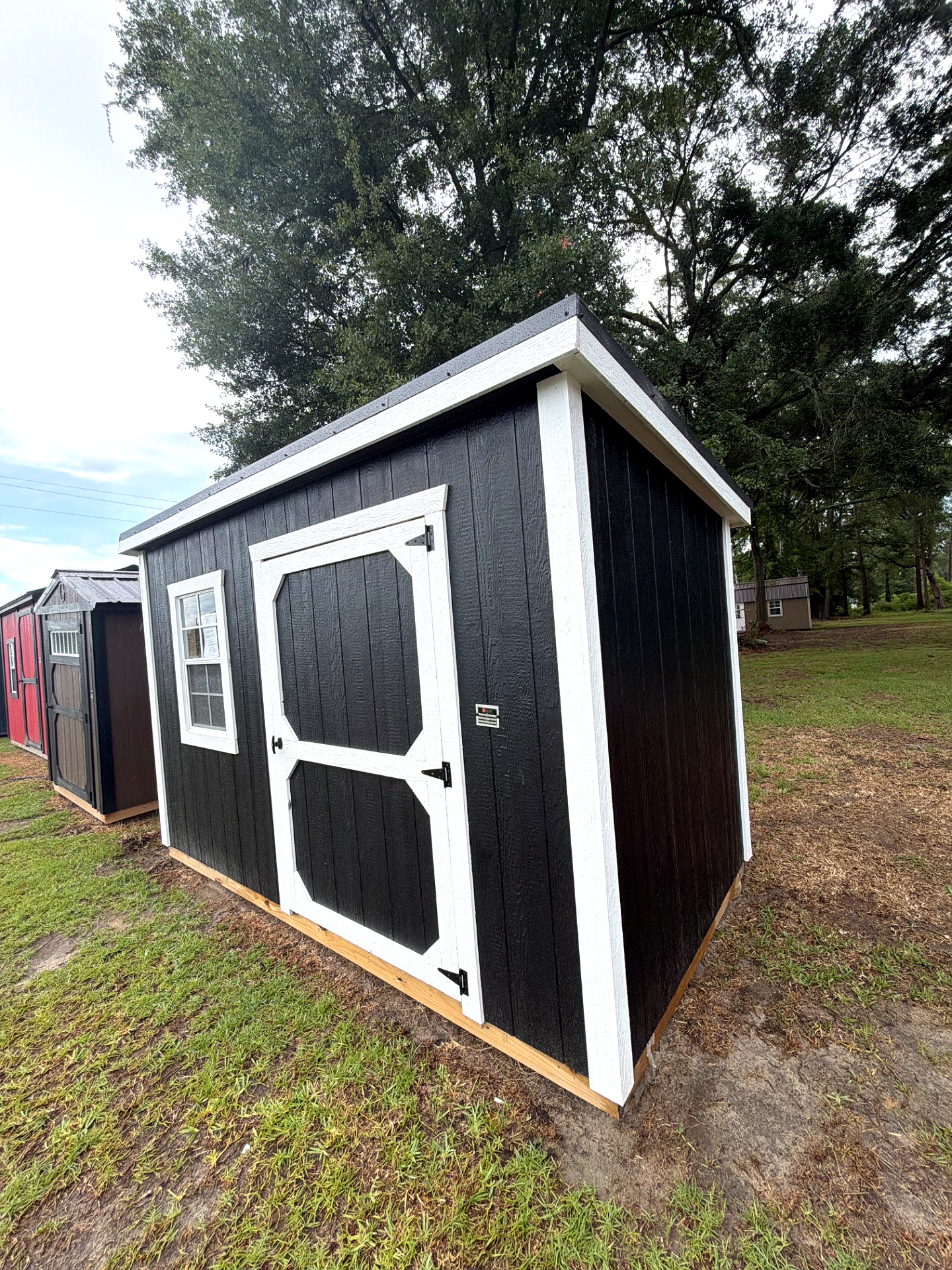 6x12 Mini Shed at Willis Buildings
