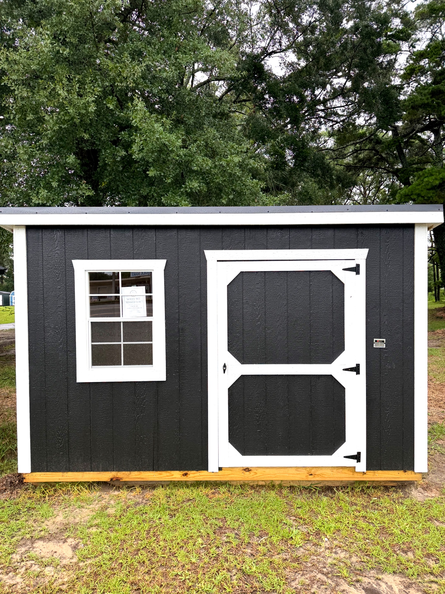 6x12 Mini Shed at Willis Buildings
